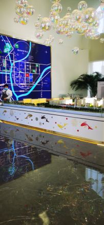 京投发展·锦悦府别墅实景图