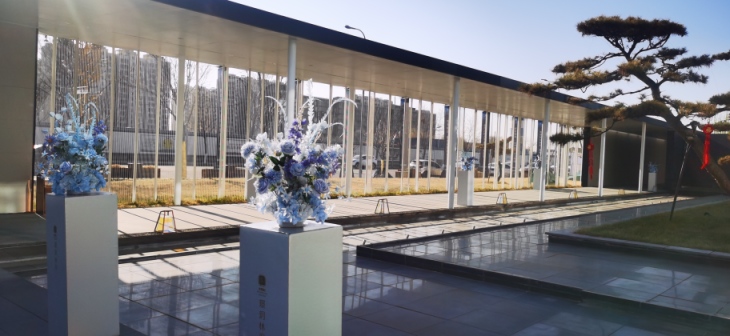 京投发展·锦悦府别墅实景图