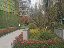 金科中梁美院 4室2厅 东南