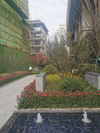 金科中梁美院别墅实景图