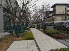 金科中梁美院 3室1厅 东南