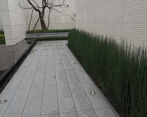 绿城桂语朝阳4室2厅南