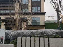 金科中梁美院3室2厅西南
