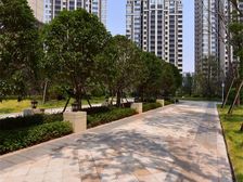 别墅大盘双拼房东诚意出看中可以谈