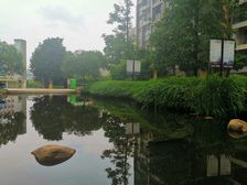 新景未来城5室2厅西南