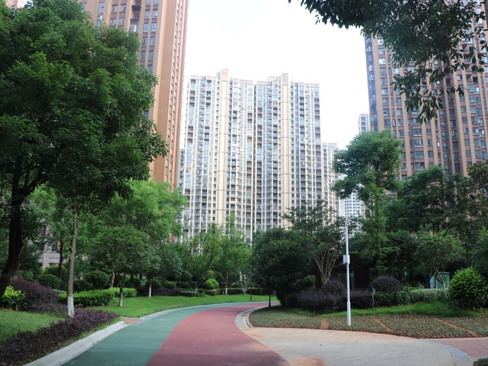 小区相关图