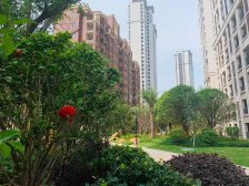 九华湖,电梯高层,视野开阔,可看湖,毛胚