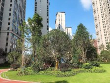 洋房洋房洋房 九华德文化公园旁 五房毛坯