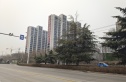 绿城诚园实景图