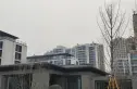 绿城诚园实景图