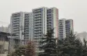 绿城诚园实景图