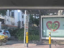 北滘五年唯一好房 装修保养好 南向望花园 安静宜居