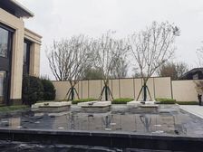 玫瑰国际旁江天樾一期精装套三双卫现房,有证,好楼层