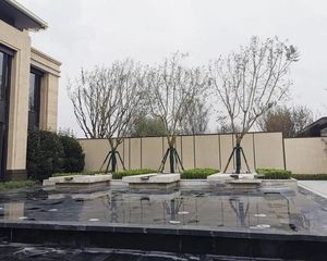 江天越3房2卫带阳台西南朝向视线开阔无遮挡