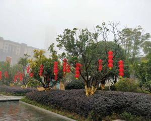 湘江新区,高铁西板块,毛坯复式