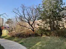 鸿坤理想城 精装修 边户大院 价格可议