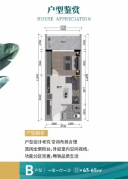 珠江澄品1室1厅1卫建面63.00㎡