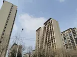 在建工地实景图