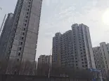 在建工地实景图