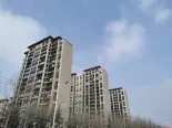 在建工地实景图