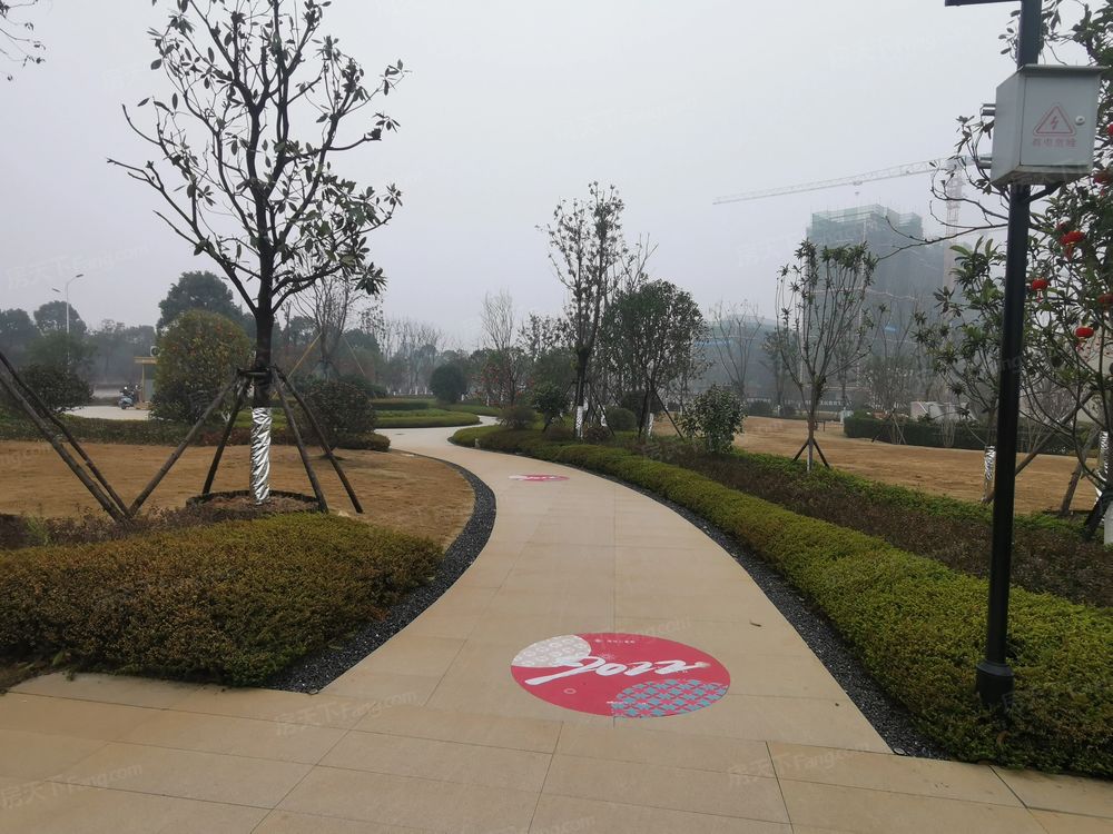 小区相关图