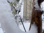 小区雪景