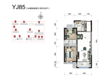 碧桂园凤凰星著两居户型图