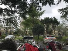 水天花月 精装 3房2厅双卫 老证 价格可谈