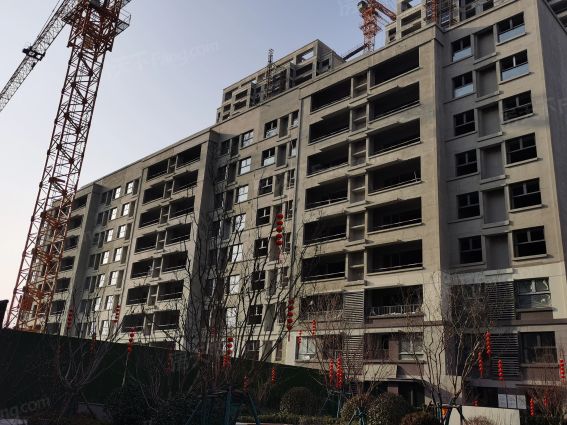 保利城怎么样:能按时交房就好.70年产.-济宁房天下楼盘点评