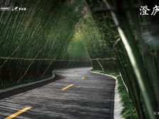 碧桂园澄庐户型方正看房预约