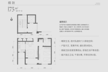 万科时代风华精致户型