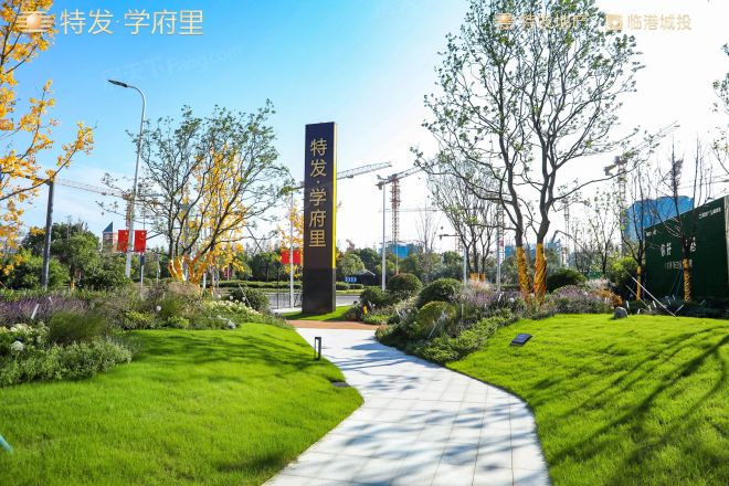 特发学府里实景图