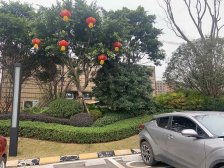 江北次新纯洋房小区,大阳台安静宜居