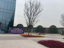 此房是端户的两房,户型方正,中高楼层,看中庭采光好