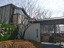 佘山望4室2厅南