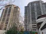 项目在建工地实景