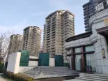 项目在建工地实景