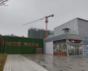 长房越秀星悦荟叠墅,已搭板,诚心出售
