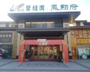 碧桂园凤翔府,一楼带院,带负一,负一和一楼差不多大
