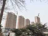 在建工地实景图