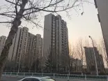 在建工地实景图