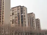 在建工地实景图