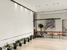 众安春风华府 3室2厅 南