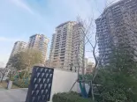 项目在建工地实景