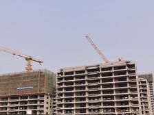 博观锦鲤 通透四叶草 随时看房 诚意出售