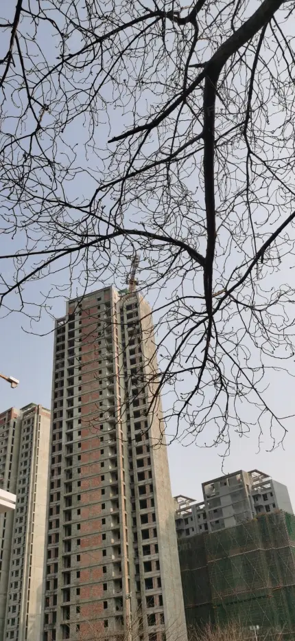 雪松雅居乐IN天府实景图