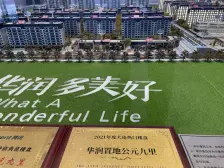 华润公元九里品质小区,品牌物业,电梯洋房,价钱可议