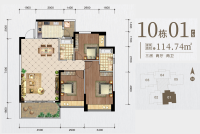 10幢01户型