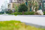 DSC00084