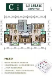 圣泰华府-STHF4室2厅1厨2卫建面165.50㎡